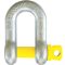 Dee (D or Chain) Shackle with Screw