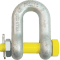Dee (D or Chain) Shackle with Nut and Bolt